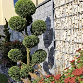 Návrh záhrady a realizácia Návrh záhrady a realizácia