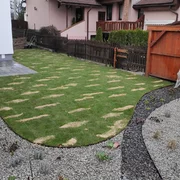Založenie trávnika - trávnikový koberec